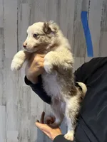 processed/a541b5f2-933d-43a6-8169-b506f54ce1d8/listing/1999dd69-9a73-458d-8a18-43b137feed61/91821482-be20-43ae-a370-421bea2d1690