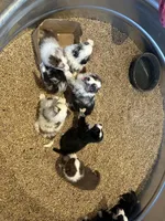 processed/a541b5f2-933d-43a6-8169-b506f54ce1d8/listing/1999dd69-9a73-458d-8a18-43b137feed61/f33f199d-cd7b-4937-96b6-1749da7390b3