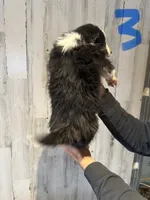 processed/a541b5f2-933d-43a6-8169-b506f54ce1d8/listing/614c91ce-980b-4b8a-bae9-6215f7d11116/06787e67-6e0d-4c61-b8c0-ef7f6773e2f0