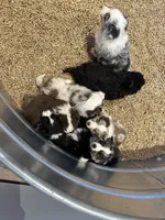 processed/a541b5f2-933d-43a6-8169-b506f54ce1d8/listing/614c91ce-980b-4b8a-bae9-6215f7d11116/322c0396-44c0-42e0-b62b-799480340c3f