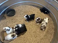 processed/a541b5f2-933d-43a6-8169-b506f54ce1d8/listing/614c91ce-980b-4b8a-bae9-6215f7d11116/3f0eb1c1-f69b-41a0-a084-69d4af056804