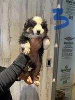 processed/a541b5f2-933d-43a6-8169-b506f54ce1d8/listing/614c91ce-980b-4b8a-bae9-6215f7d11116/c0ebf1d1-b1fa-4edc-a70a-271d6872349d