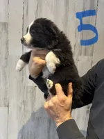 processed/a541b5f2-933d-43a6-8169-b506f54ce1d8/listing/85c0a091-d500-4c9f-a942-d72945b1c3a3/131d7b4c-d44c-4872-b765-c19c9e24be63