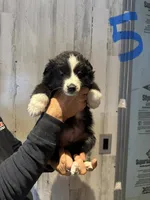 processed/a541b5f2-933d-43a6-8169-b506f54ce1d8/listing/85c0a091-d500-4c9f-a942-d72945b1c3a3/73dd3ac9-1e7a-455f-bfd4-9ee692df636a