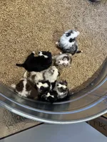 processed/a541b5f2-933d-43a6-8169-b506f54ce1d8/listing/85c0a091-d500-4c9f-a942-d72945b1c3a3/a6a2440b-e49b-492b-b32d-3b70a21639c8