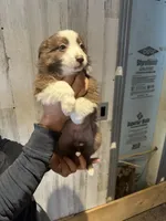 processed/a541b5f2-933d-43a6-8169-b506f54ce1d8/listing/e01e425b-3737-4fd2-b2ce-5eb82d5f3708/692ad8c3-46de-4d07-b0ff-baadece9d64f