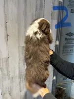 processed/a541b5f2-933d-43a6-8169-b506f54ce1d8/listing/e01e425b-3737-4fd2-b2ce-5eb82d5f3708/a6503ee7-88c7-45d3-a354-9a6c7ae5f3e8