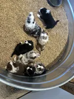 processed/a541b5f2-933d-43a6-8169-b506f54ce1d8/listing/e01e425b-3737-4fd2-b2ce-5eb82d5f3708/b0896ed4-000b-42ee-b596-191b990eae83