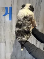 processed/a541b5f2-933d-43a6-8169-b506f54ce1d8/listing/e93c64d4-eb2f-49cb-bff9-4ceef2cf9666/7d188b4a-d023-4eae-92e1-a9c1f9d86f92