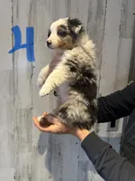 processed/a541b5f2-933d-43a6-8169-b506f54ce1d8/listing/e93c64d4-eb2f-49cb-bff9-4ceef2cf9666/acd9847c-0828-44d1-91e5-e903d93d3436