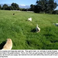 processed/a5437011-a9d8-45aa-99fd-7206d80047cb/facility/12c632da-652a-407b-bfd3-758869c67489