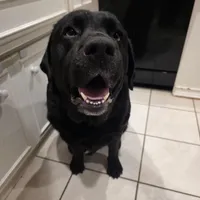 processed/a5437011-a9d8-45aa-99fd-7206d80047cb/facility/6bd883eb-54b0-416a-84c3-9d2f0367019d