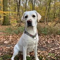 processed/a5437011-a9d8-45aa-99fd-7206d80047cb/facility/df833a3d-d5b4-40d0-8f5c-5b10625a0263