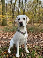 processed/a5437011-a9d8-45aa-99fd-7206d80047cb/facility/df833a3d-d5b4-40d0-8f5c-5b10625a0263