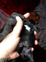 processed/a54f79da-da1b-459b-a046-c5e157e5ee4a/listing/06ce1f29-47ec-43b8-9acd-595bec2cf628/56d4b95f-dea0-484c-9970-912c81c88af1