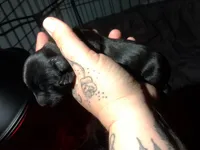 processed/a54f79da-da1b-459b-a046-c5e157e5ee4a/listing/06ce1f29-47ec-43b8-9acd-595bec2cf628/657c2c01-982a-42d6-83c4-d8e64deb54d8