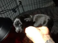 processed/a54f79da-da1b-459b-a046-c5e157e5ee4a/listing/06ce1f29-47ec-43b8-9acd-595bec2cf628/fd4f8e65-050e-403c-9ef5-e58c55f5ae3a