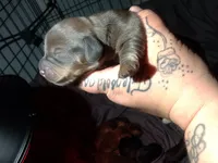 processed/a54f79da-da1b-459b-a046-c5e157e5ee4a/listing/4c9c2c17-ea95-4291-ac40-c759b30130f9/00a249b2-d422-4fde-96c9-e3d5a238dd28