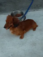 processed/a54f79da-da1b-459b-a046-c5e157e5ee4a/listing/4c9c2c17-ea95-4291-ac40-c759b30130f9/2c6e8ad7-6f6f-4e4c-8ba8-3f15967b2c0d