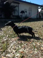 processed/a54f79da-da1b-459b-a046-c5e157e5ee4a/listing/4c9c2c17-ea95-4291-ac40-c759b30130f9/c4259b6d-4d3c-437d-aab8-20cf78886834