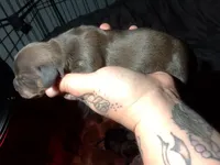 processed/a54f79da-da1b-459b-a046-c5e157e5ee4a/listing/4c9c2c17-ea95-4291-ac40-c759b30130f9/ceb5e53d-3aa8-4f97-b7de-cf52676445da