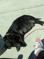 processed/a54f79da-da1b-459b-a046-c5e157e5ee4a/listing/4c9c2c17-ea95-4291-ac40-c759b30130f9/d2dffc03-fc7a-4f2b-bcba-bfa328bb84f6