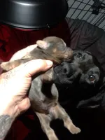 processed/a54f79da-da1b-459b-a046-c5e157e5ee4a/listing/4c9c2c17-ea95-4291-ac40-c759b30130f9/e0574fdc-3cdc-4833-9da7-11a78c9f3dff