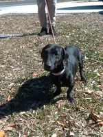 processed/a54f79da-da1b-459b-a046-c5e157e5ee4a/listing/4c9c2c17-ea95-4291-ac40-c759b30130f9/fb024b4a-62c3-4e6c-9715-2feeb92b9def