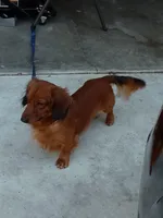 processed/a54f79da-da1b-459b-a046-c5e157e5ee4a/listing/5e551f2e-9881-4adb-aa63-c4926798bc5d/d04a4916-80d0-45d1-8c54-285f61fe7595