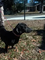 processed/a54f79da-da1b-459b-a046-c5e157e5ee4a/listing/5e551f2e-9881-4adb-aa63-c4926798bc5d/dffd01d3-9fa3-473b-a7c6-1598cab73c13