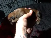 processed/a54f79da-da1b-459b-a046-c5e157e5ee4a/listing/84fec239-b500-47e7-b91a-e0a3815e5ae8/443b6315-a798-4cd5-82d5-3d3788357263