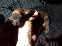 processed/a54f79da-da1b-459b-a046-c5e157e5ee4a/listing/93c24009-970d-426a-85d9-e8fb01aa24c6/2120db9c-b7fe-4e89-bcf1-806f0118186a