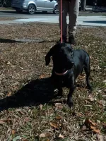 processed/a54f79da-da1b-459b-a046-c5e157e5ee4a/listing/93c24009-970d-426a-85d9-e8fb01aa24c6/86985f30-3a2a-4171-8a3e-d1e2a7cbc0ee