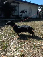 processed/a54f79da-da1b-459b-a046-c5e157e5ee4a/listing/93c24009-970d-426a-85d9-e8fb01aa24c6/dc9c07ec-9d93-4044-badc-151f1503814a