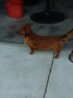 processed/a54f79da-da1b-459b-a046-c5e157e5ee4a/listing/93c24009-970d-426a-85d9-e8fb01aa24c6/de9e28b8-533b-423c-8deb-f021088b316c