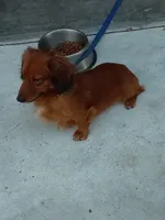 processed/a54f79da-da1b-459b-a046-c5e157e5ee4a/listing/93c24009-970d-426a-85d9-e8fb01aa24c6/fcb4b583-1089-4646-95c4-263898709591