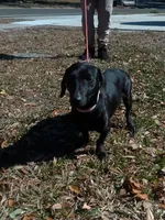 processed/a54f79da-da1b-459b-a046-c5e157e5ee4a/listing/ab41c68b-5caf-4b69-91c4-e8b4ce39c939/3e5e43e3-3e53-465e-b718-80fe6a97d1ac