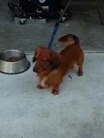 processed/a54f79da-da1b-459b-a046-c5e157e5ee4a/listing/ab41c68b-5caf-4b69-91c4-e8b4ce39c939/46e6125c-ff55-4e55-a6d5-26a58e36f6f7