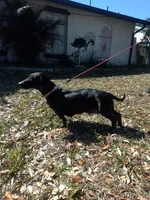 processed/a54f79da-da1b-459b-a046-c5e157e5ee4a/listing/ab41c68b-5caf-4b69-91c4-e8b4ce39c939/96a17f12-017a-494c-9ea4-73de1bc92b7b