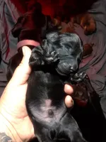 processed/a54f79da-da1b-459b-a046-c5e157e5ee4a/listing/ab41c68b-5caf-4b69-91c4-e8b4ce39c939/a05480ad-b3c1-4123-b058-4f18d7f9adc7