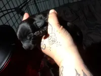 processed/a54f79da-da1b-459b-a046-c5e157e5ee4a/listing/ab41c68b-5caf-4b69-91c4-e8b4ce39c939/cdf15698-ba9c-4976-9a11-af05bf6978e8