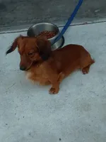 processed/a54f79da-da1b-459b-a046-c5e157e5ee4a/listing/ab41c68b-5caf-4b69-91c4-e8b4ce39c939/db9af356-034b-4f10-b844-04e90ed3b009