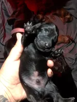 processed/a54f79da-da1b-459b-a046-c5e157e5ee4a/listing/ab41c68b-5caf-4b69-91c4-e8b4ce39c939/eecf7cf2-ea8c-4838-810d-c60fcf15ac68