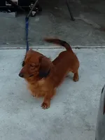 processed/a54f79da-da1b-459b-a046-c5e157e5ee4a/listing/cb0e4f5e-324b-45c2-8028-02569c4ea590/5a118027-9cf6-407a-888f-c1cb10699fff