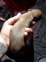 processed/a54f79da-da1b-459b-a046-c5e157e5ee4a/listing/cb0e4f5e-324b-45c2-8028-02569c4ea590/6685e8f8-68b4-4bb4-bff7-9185c8bc21cf