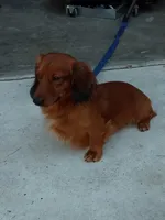 processed/a54f79da-da1b-459b-a046-c5e157e5ee4a/listing/cb0e4f5e-324b-45c2-8028-02569c4ea590/f0026c12-e611-4de3-a627-79ff54e72e70