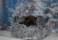 processed/a56dd8fc-36d5-4ab9-b9f1-983c0718a7c0/listing/7aea3105-e819-4ebe-9d1c-cab02b0b9095/750196ad-793a-4267-aab0-7eb90e27e64a