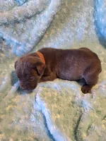 processed/a573f392-6b95-4cff-a2bc-1932c2bb3e61/listing/12e27174-5ad7-44c7-9fcd-36ff31831842/1cc17d5c-5360-46d1-8ffe-6f8158119315