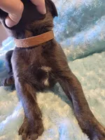 processed/a573f392-6b95-4cff-a2bc-1932c2bb3e61/listing/12e27174-5ad7-44c7-9fcd-36ff31831842/af273251-33c5-4319-bcf5-bc3deb20af5a