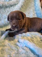 processed/a573f392-6b95-4cff-a2bc-1932c2bb3e61/listing/12e27174-5ad7-44c7-9fcd-36ff31831842/b1b1a800-cf03-4c47-9c98-6997f01f7429